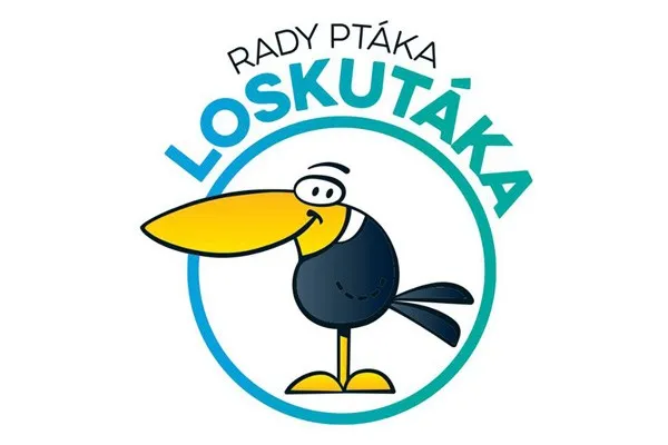 Látkovou nebo koženou sedačku? Podívejte se na výhody a nevýhody Rady ptáka Loskutáka - TV NOVA