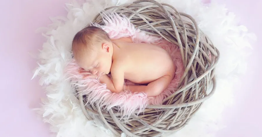 DAROVALI SME TRENČIANSKEJ PÔRODNICI BOCIANÍ TERMINÁL